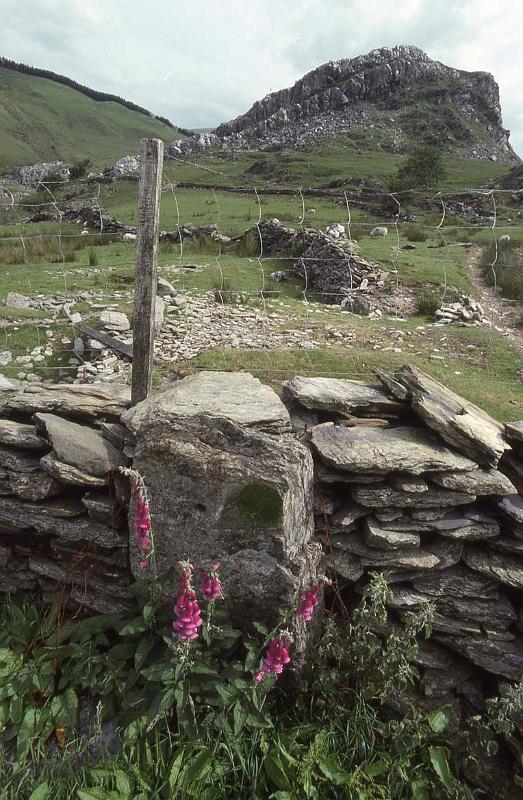 RWT 0313 337-12 UK Welsh Mtns.jpg